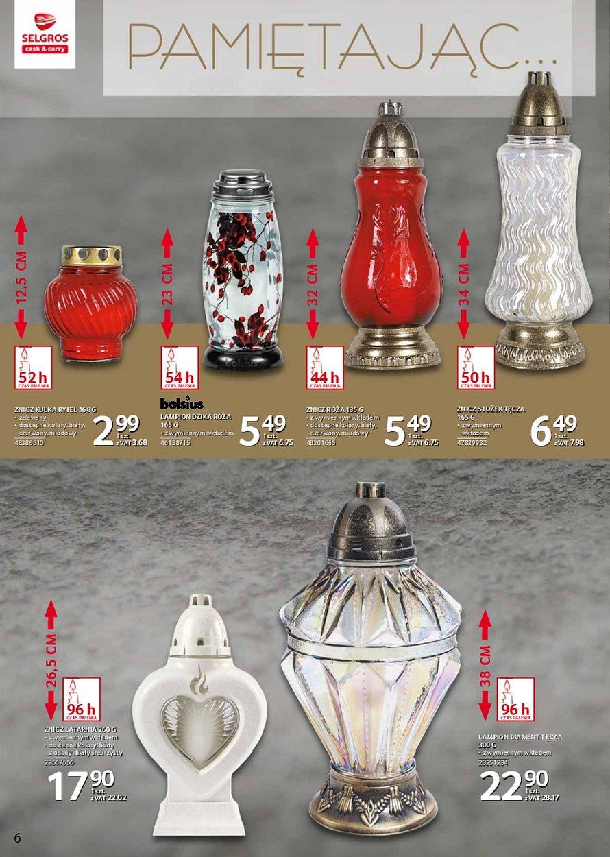 Gazetka promocyjna Selgros str. 6