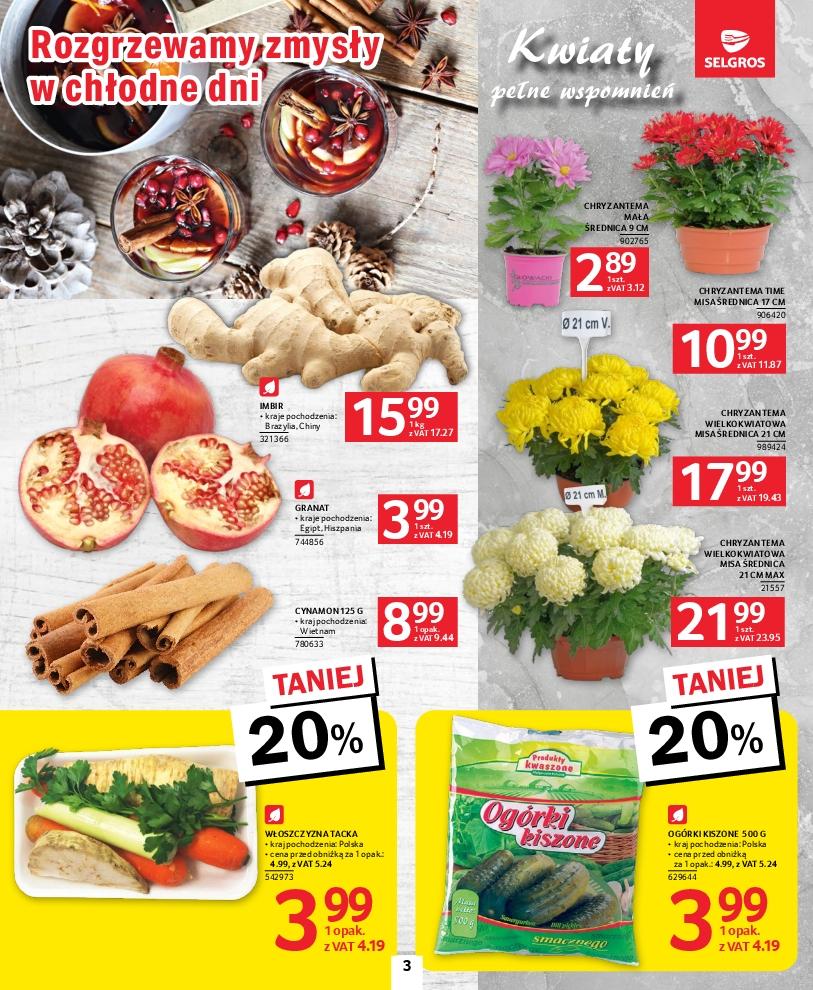 Gazetka promocyjna Selgros str. 3