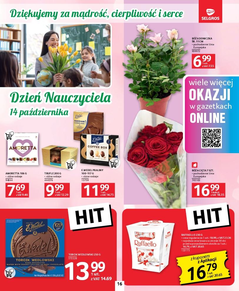 Gazetka promocyjna Selgros str. 16