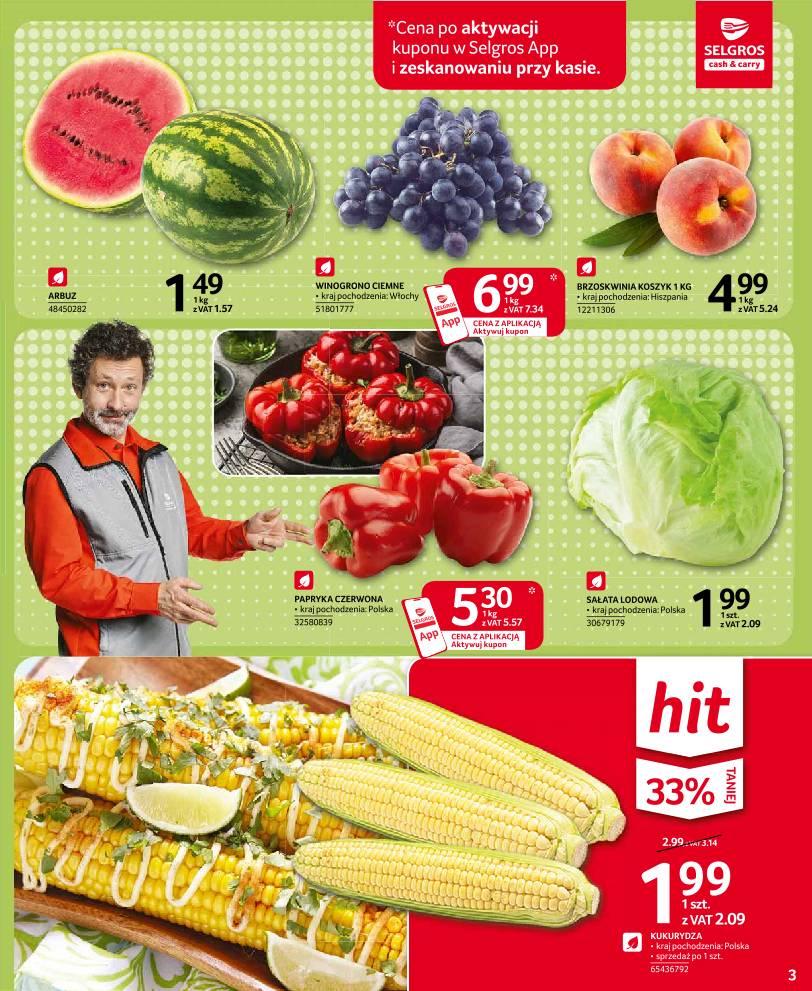 Gazetka promocyjna Selgros str. 3