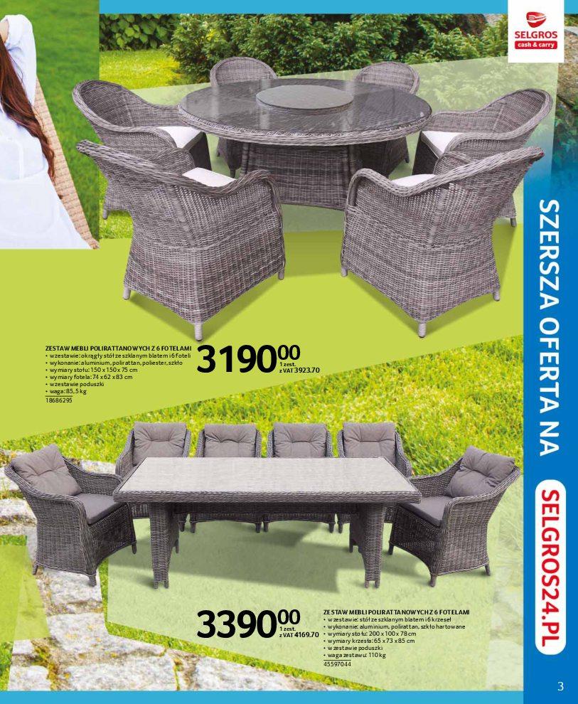 Gazetka promocyjna Selgros str. 3
