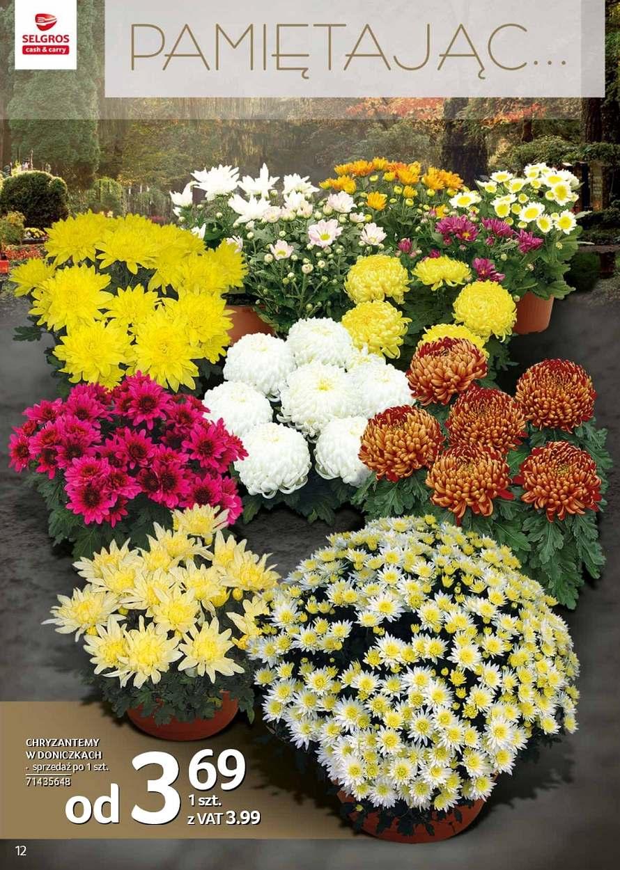 Gazetka promocyjna Selgros str. 12