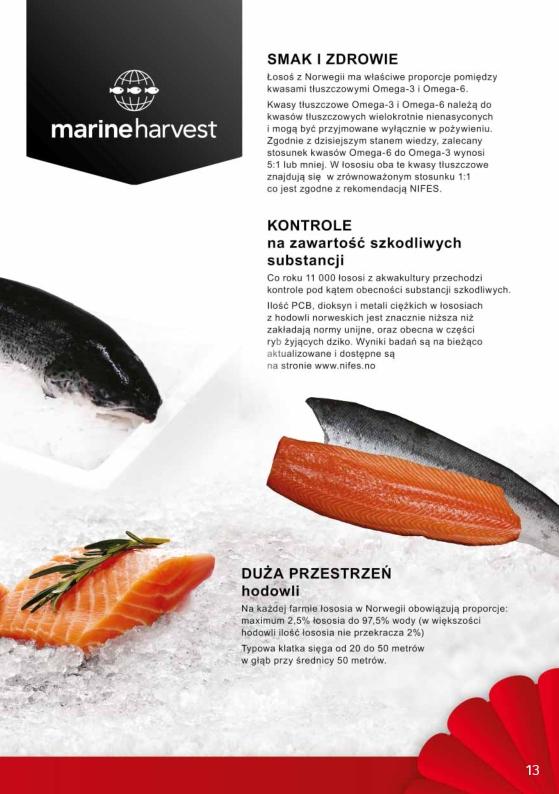 Gazetka promocyjna Selgros str. 13