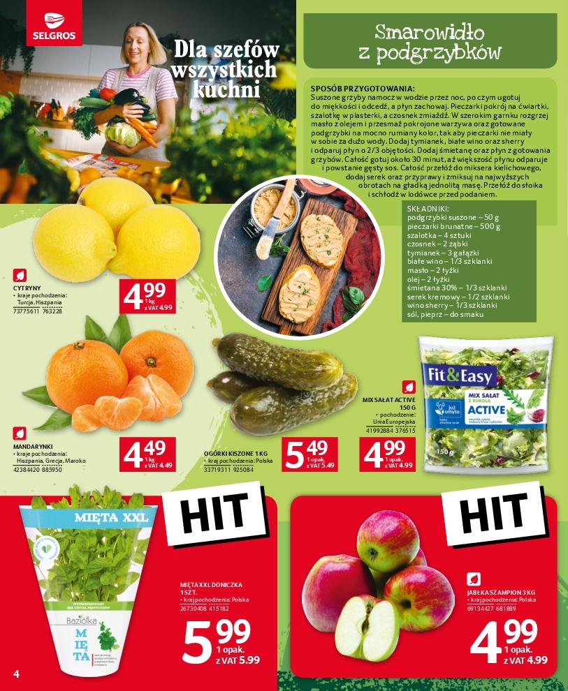 Gazetka promocyjna Selgros str. 4