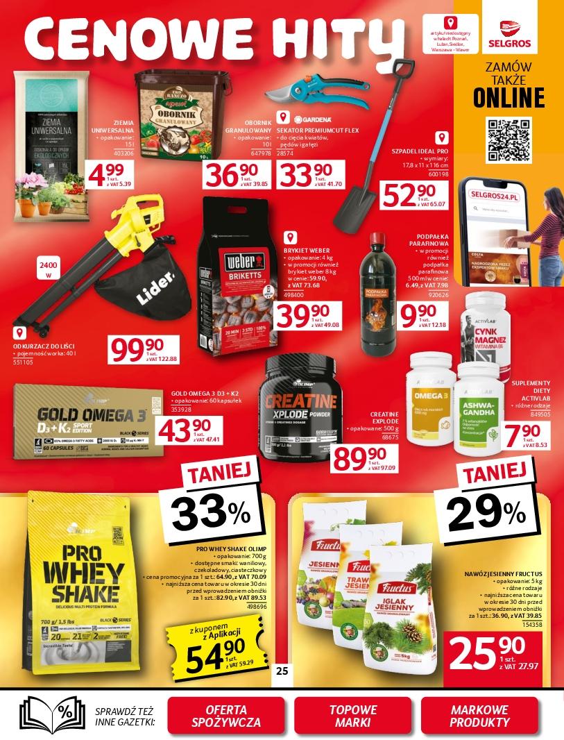 Gazetka promocyjna Selgros str. 29