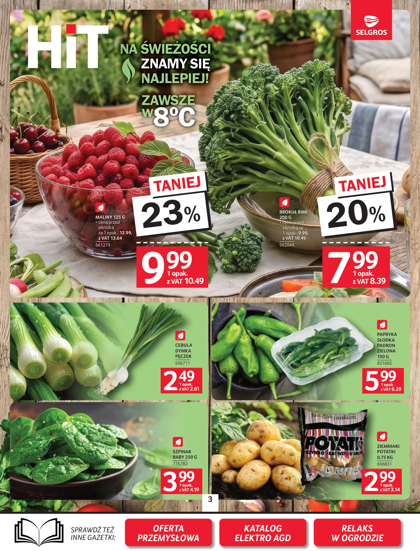 Gazetka promocyjna Selgros str. 3