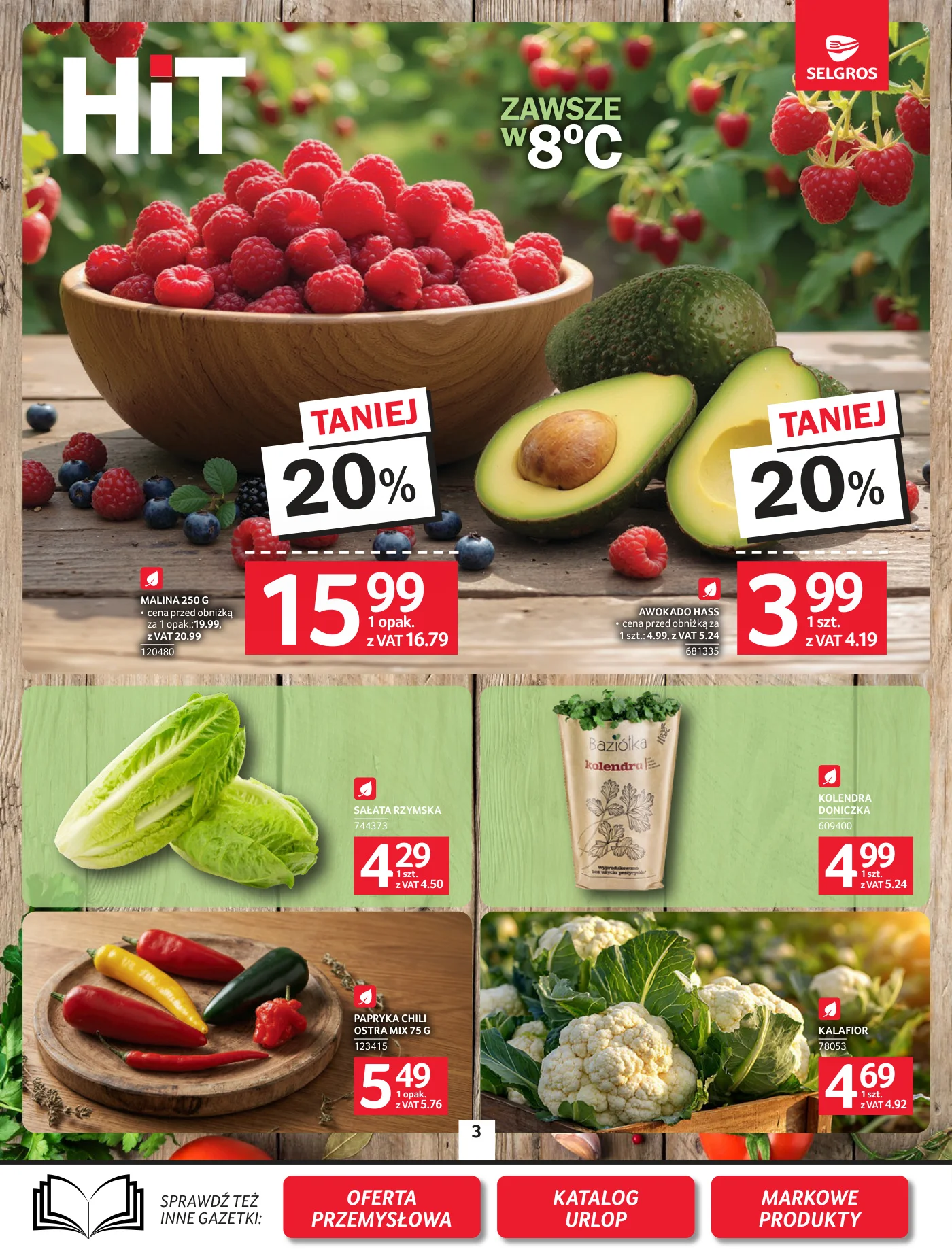 Gazetka promocyjna Selgros str. 3