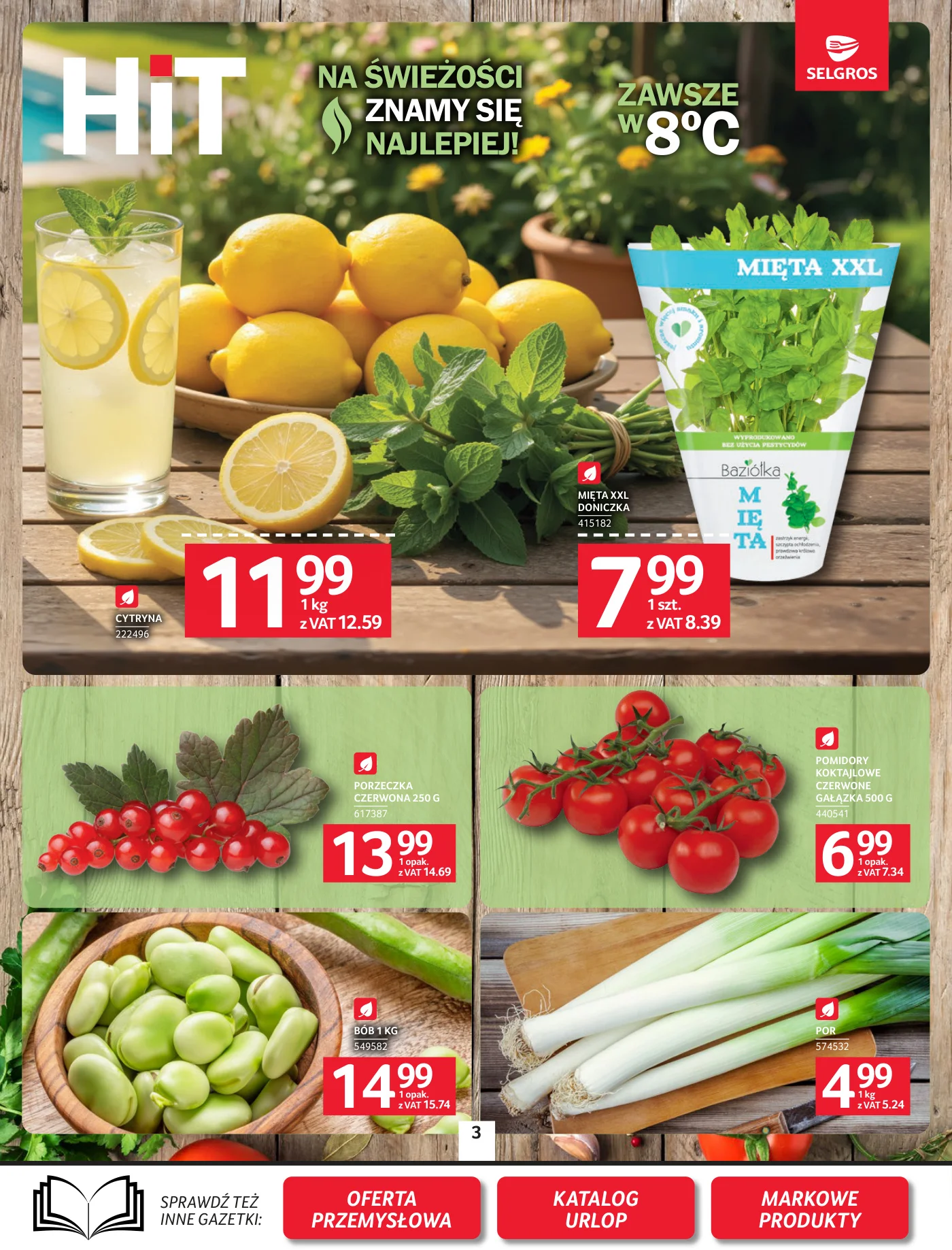Gazetka promocyjna Selgros str. 3