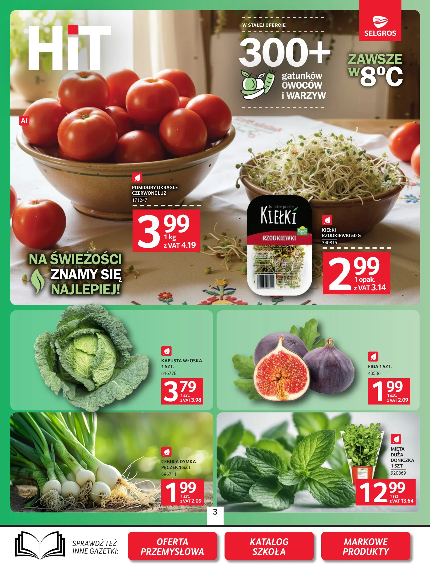 Gazetka promocyjna Selgros str. 3