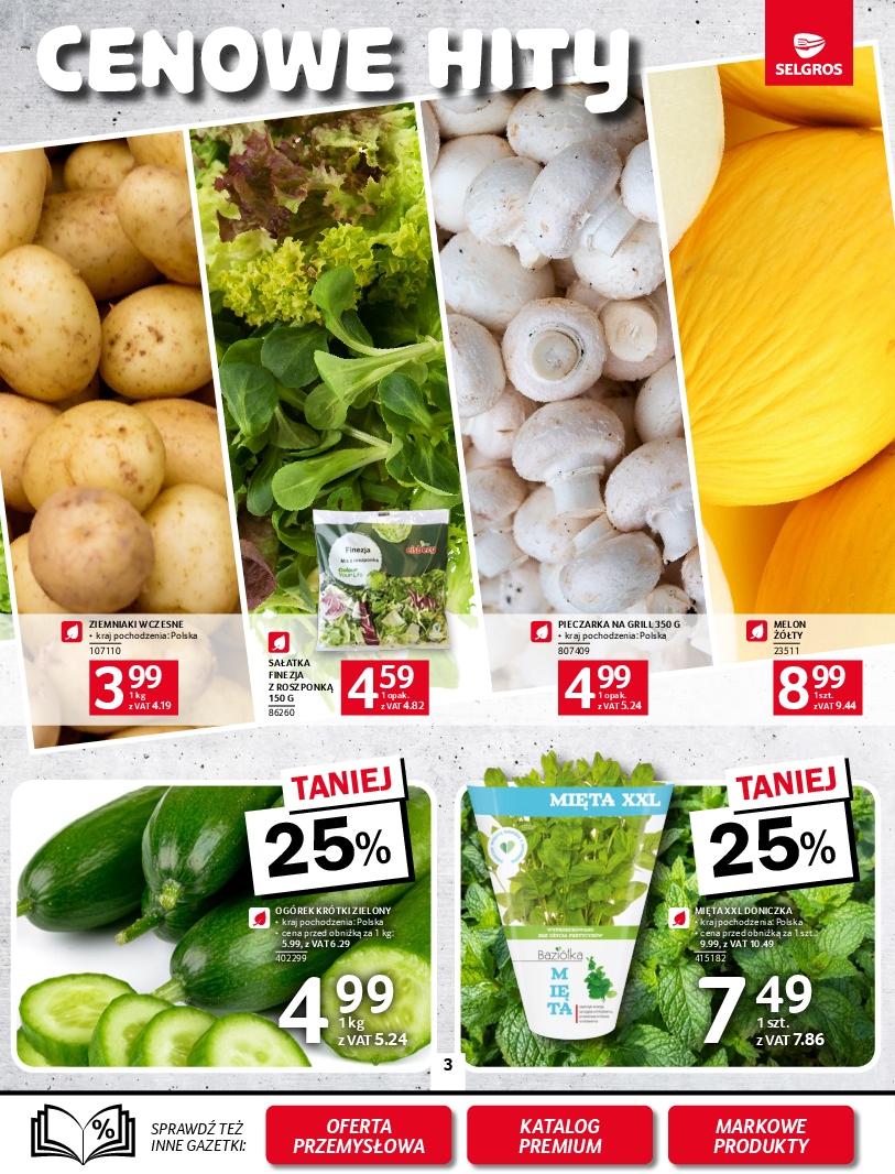 Gazetka promocyjna Selgros str. 3
