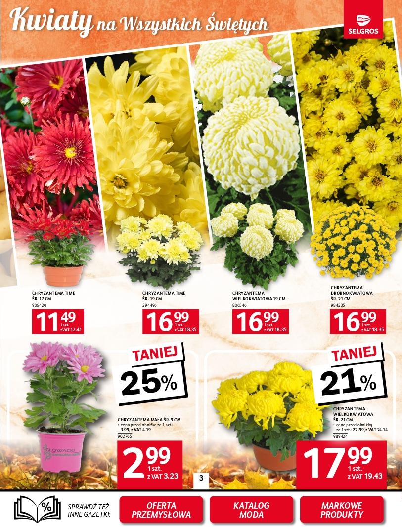 Gazetka promocyjna Selgros str. 3