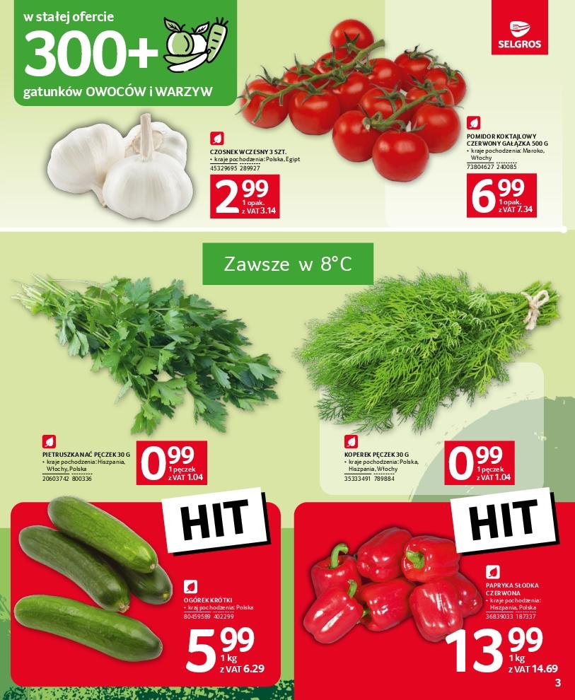 Gazetka promocyjna Selgros str. 3