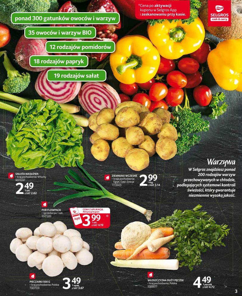 Gazetka promocyjna Selgros str. 3
