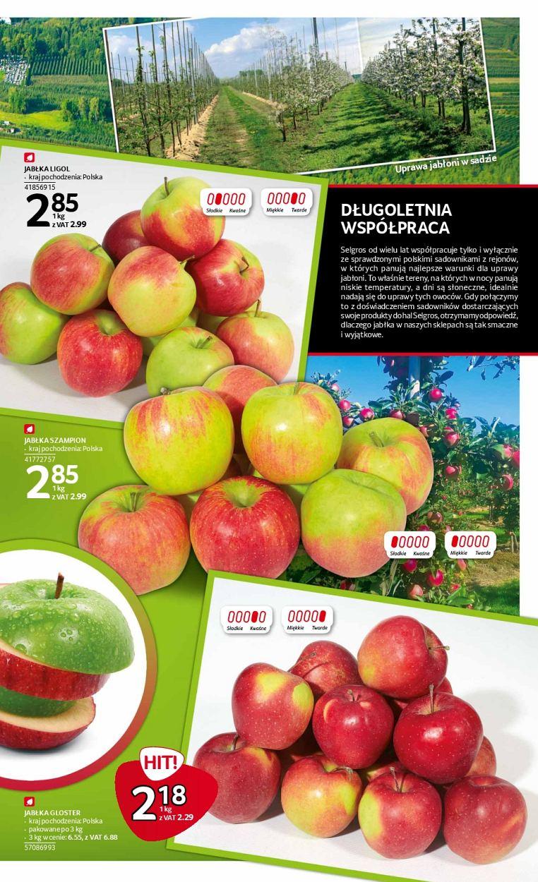 Gazetka promocyjna Selgros str. 3